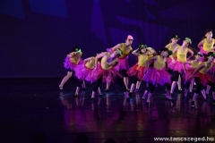tancszeged109